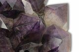 Deep Purple Amethyst Crystal Cluster With Huge Crystals #250740-3